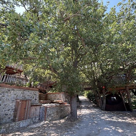 B & B Le Casette Sull'Albero Di Villa Alba Messina Eksteriør bilde