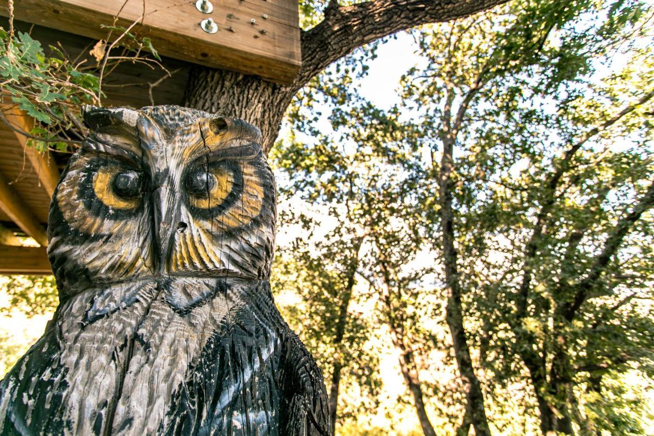 B & B Le Casette Sull'Albero Di Villa Alba Messina Eksteriør bilde