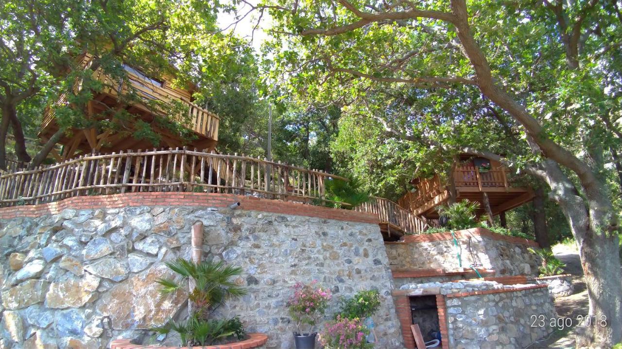 B & B Le Casette Sull'Albero Di Villa Alba Messina Eksteriør bilde