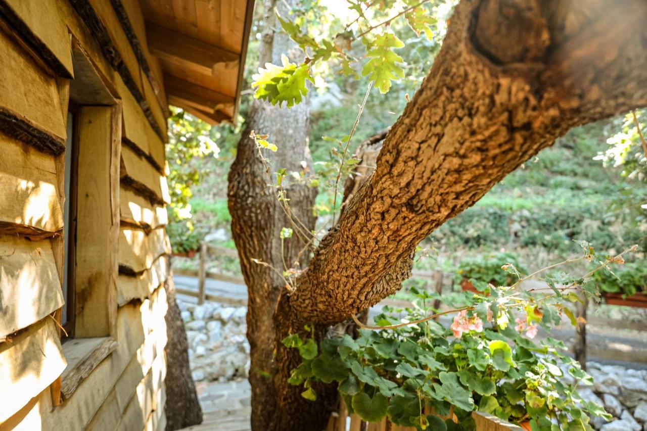 B & B Le Casette Sull'Albero Di Villa Alba Messina Eksteriør bilde