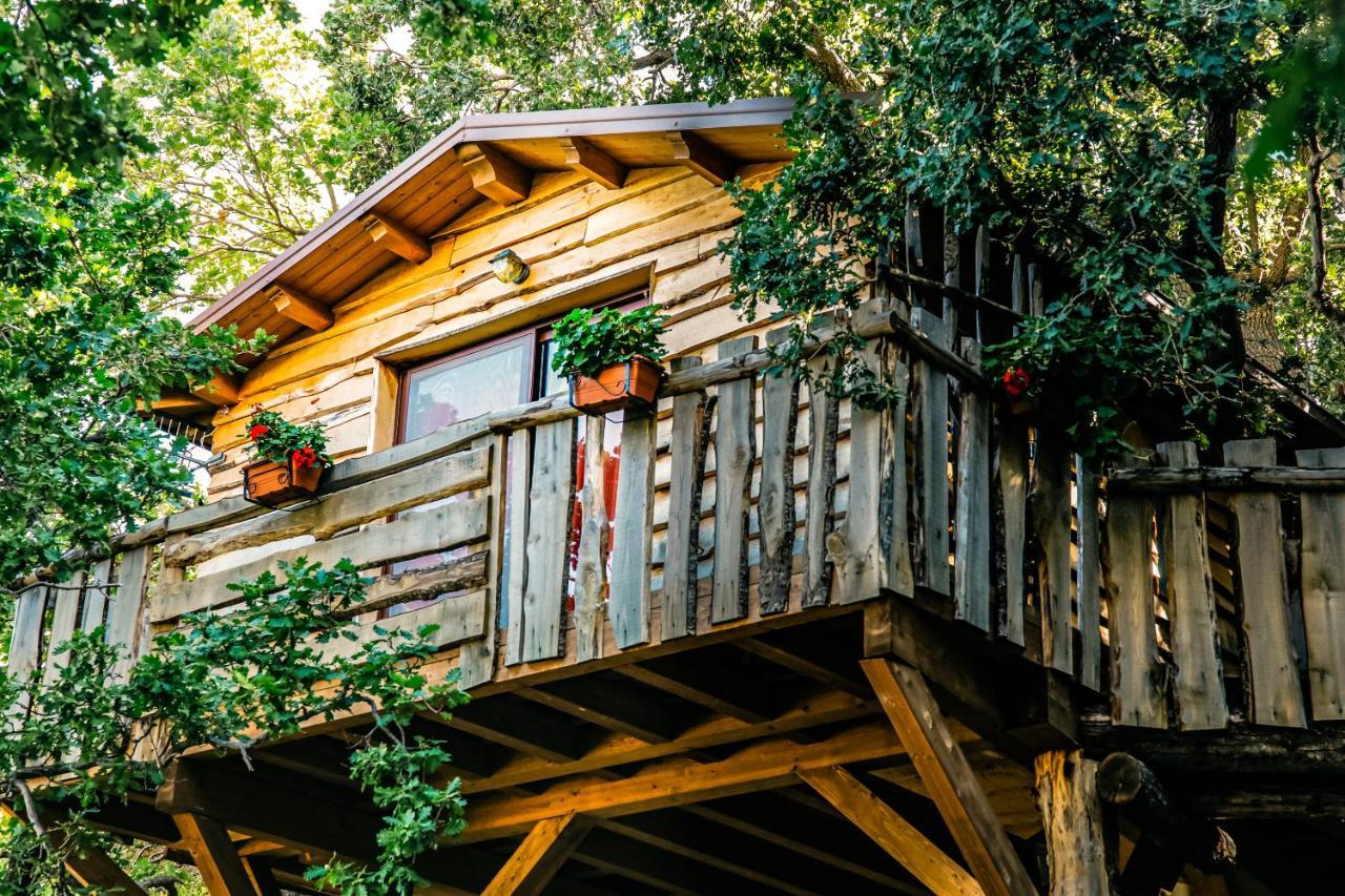 B & B Le Casette Sull'Albero Di Villa Alba Messina Eksteriør bilde