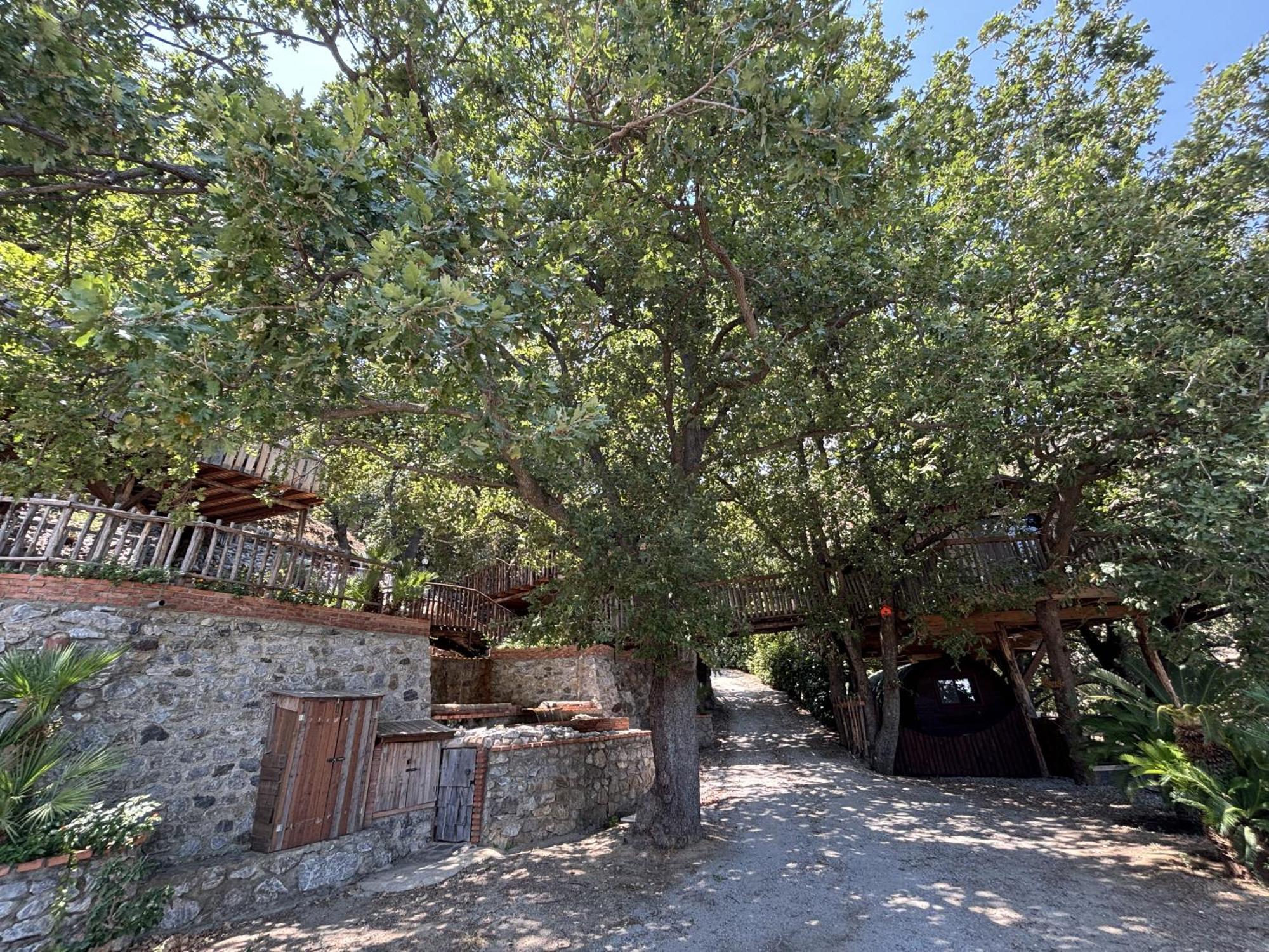 B & B Le Casette Sull'Albero Di Villa Alba Messina Eksteriør bilde